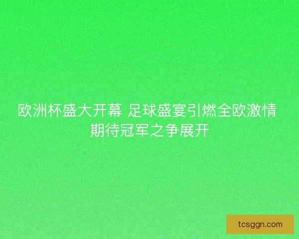 欧洲杯盛大开幕 足球盛宴引燃全欧激情 期待冠军之争展开 欧洲杯盛大开幕 足球盛宴引燃全欧激情 期待冠军之争展开
