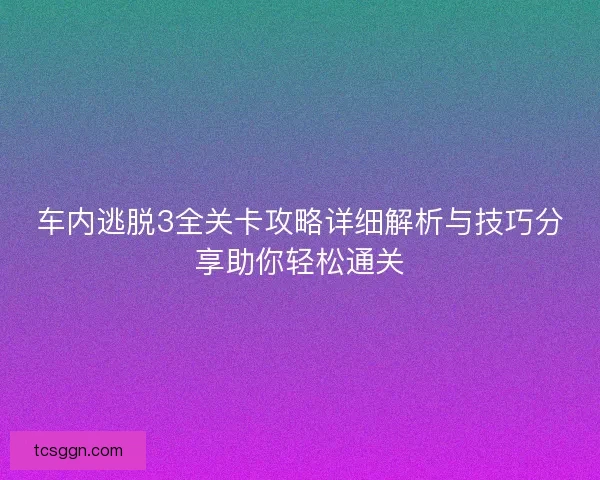 车内逃脱3全关卡攻略详细解析与技巧分享助你轻松通关