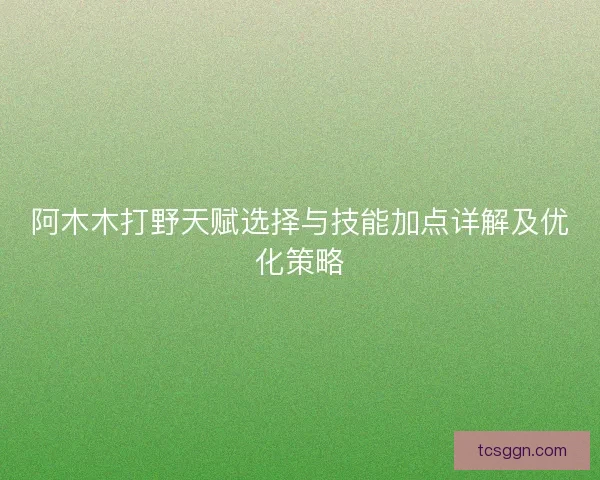 阿木木打野天赋选择与技能加点详解及优化策略