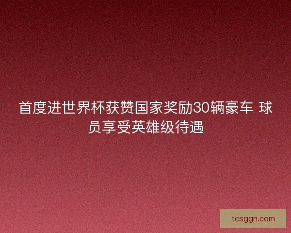 首度进世界杯获赞国家奖励30辆豪车 球员享受英雄级待遇 首度进世界杯获赞国家奖励30辆豪车 球员享受英雄级待遇