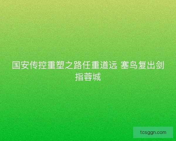 国安传控重塑之路任重道远 塞鸟复出剑指蓉城