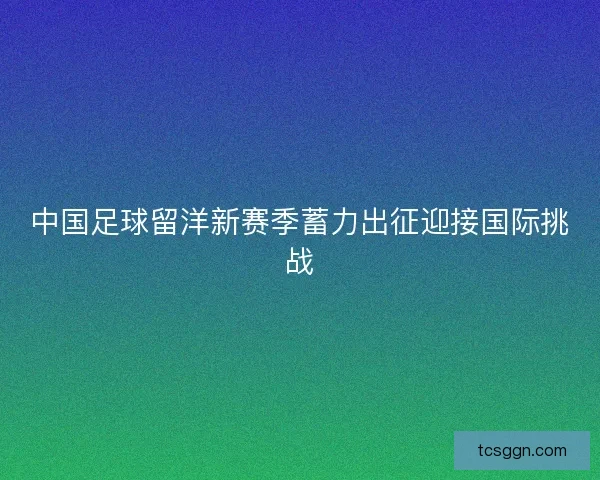中国足球留洋新赛季蓄力出征迎接国际挑战 中国足球留洋新赛季蓄力出征迎接国际挑战
